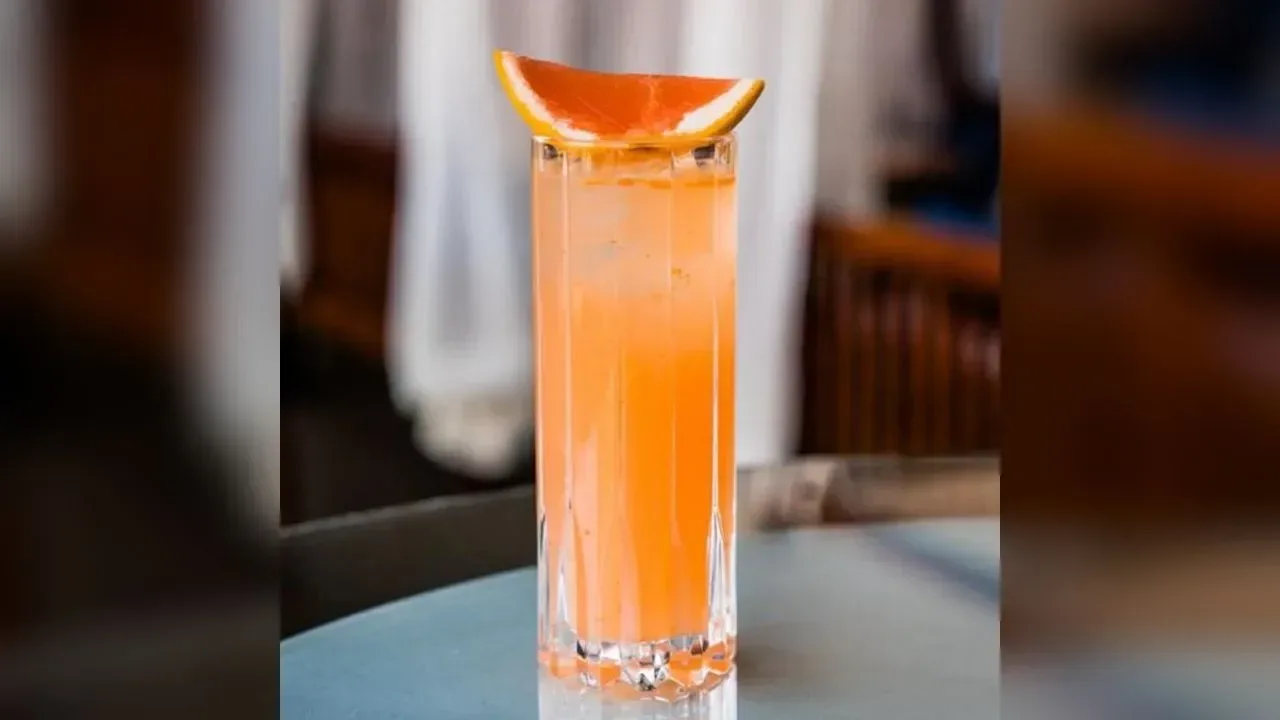 Winter Paloma