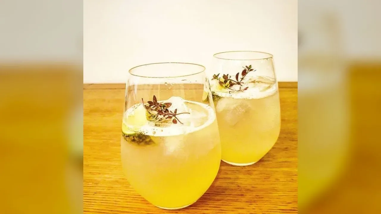Lemon Elderflower Spritzer