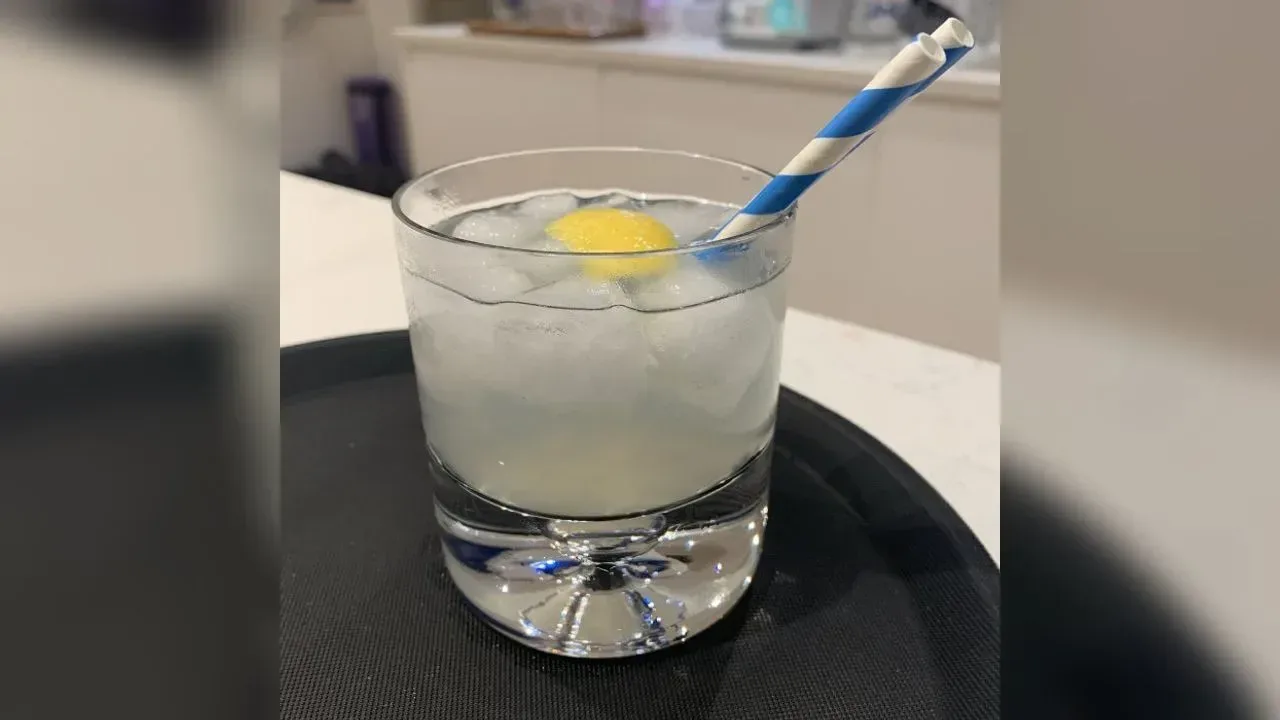 Gin Toddy