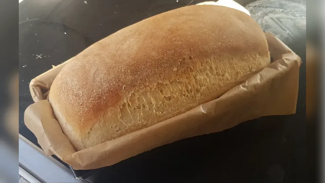 Bread
