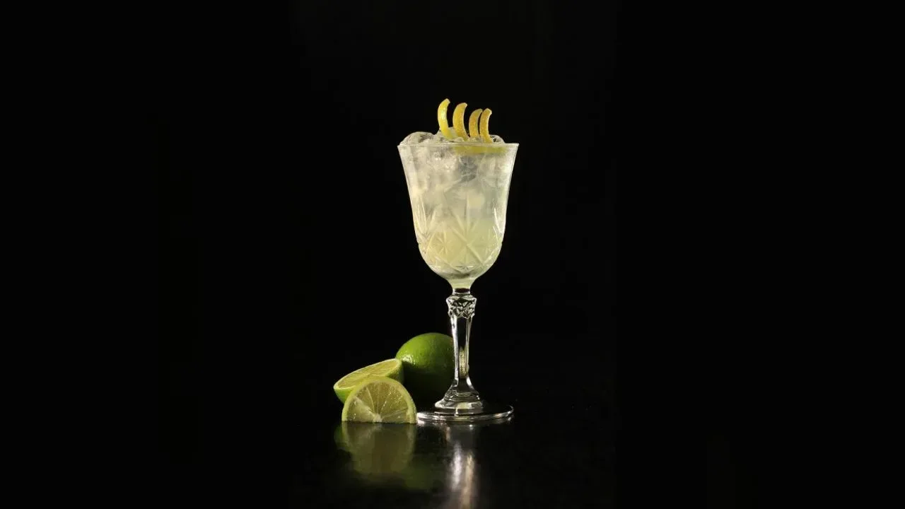 Gin Sour